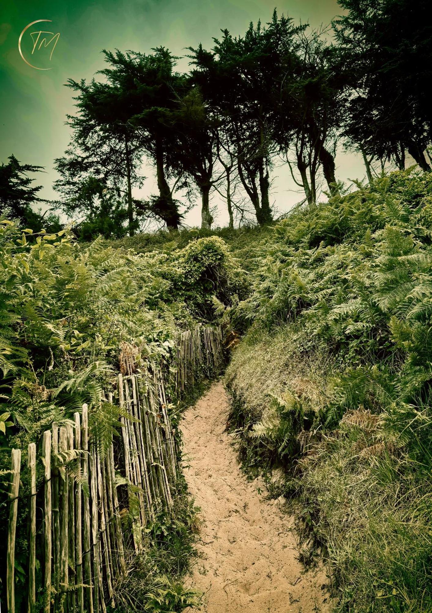 Le Clos Du Lupin Saint-Coulomb Buitenkant foto